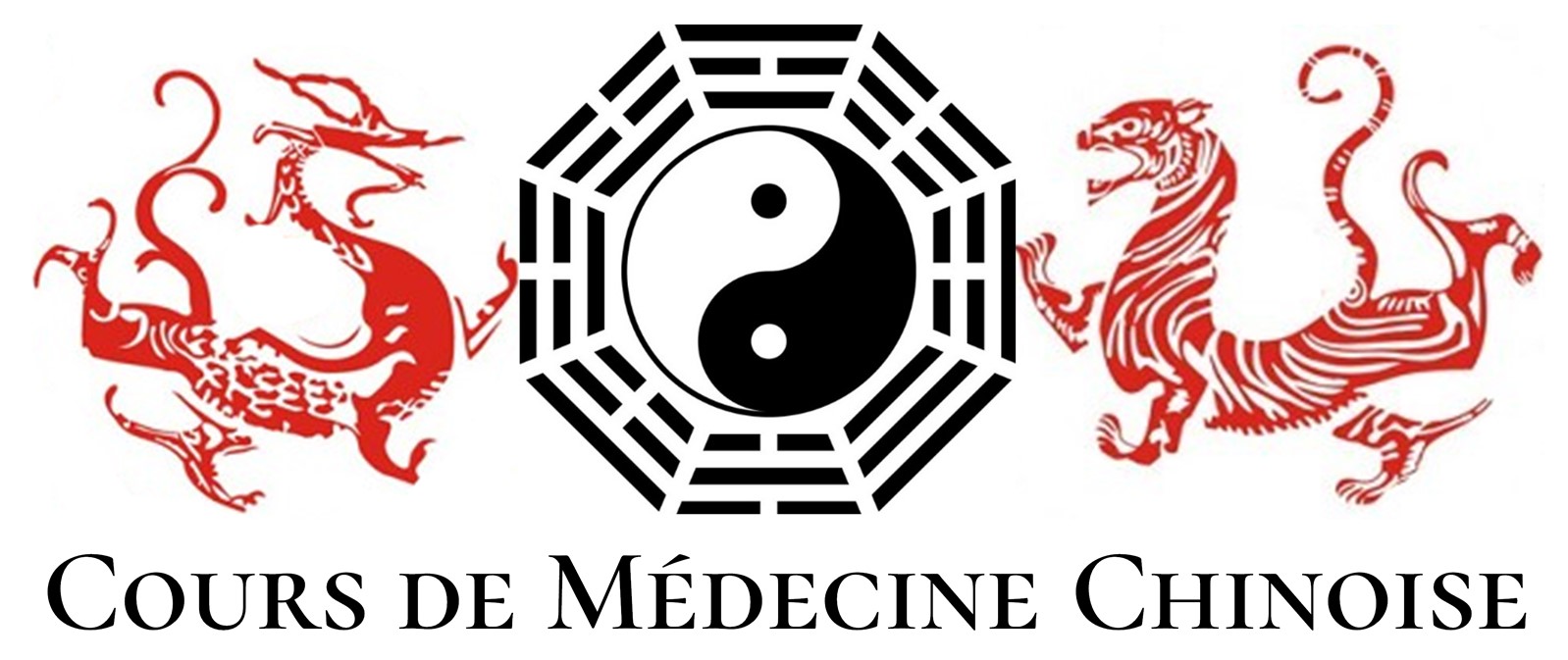 Logo Cours de médecine chinoise