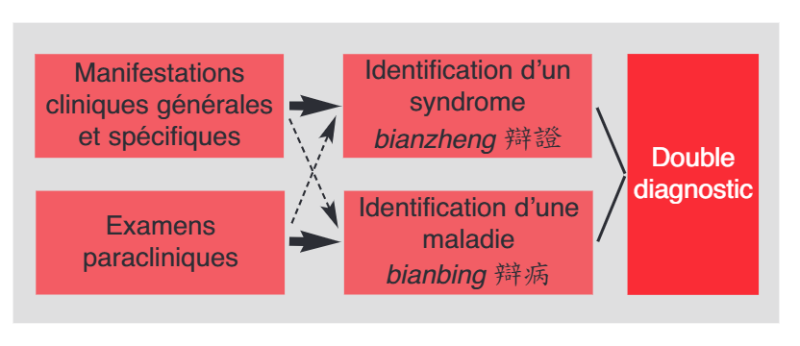 Schéma : manifestations cliniques et examens paracliniques conduisant à l’identification d’un syndrome et d’une maladie, soit un double diagnostic
