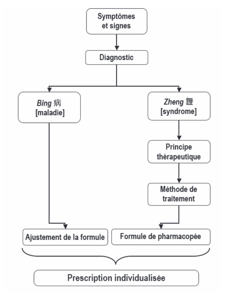 Schéma : des symptômes au diagnostic, distinction bing (maladie) et zheng (syndrome), principe thérapeutique, méthode de traitement, formule de pharmacopée et ajustement, aboutissant à une prescription individualisée