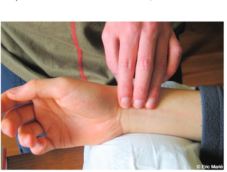 Palpation des pouls à l’artère radiale